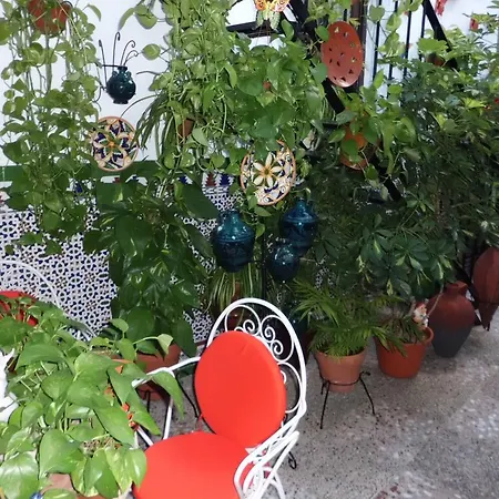 Agustina بيت ضيافة *