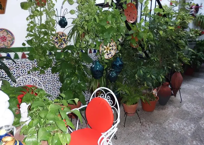 Agustina بيت ضيافة *