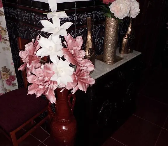 Agustina بيت ضيافة قرطبة