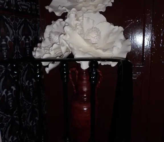 Agustina بيت ضيافة