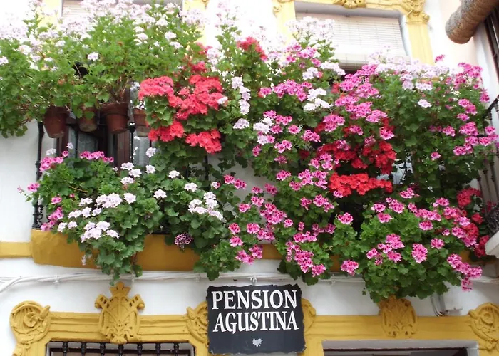 Agustina بيت ضيافة *