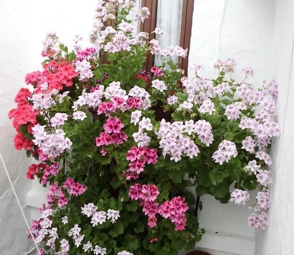 Agustina بيت ضيافة