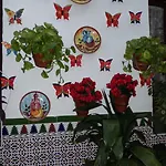 Agustina 코르도바