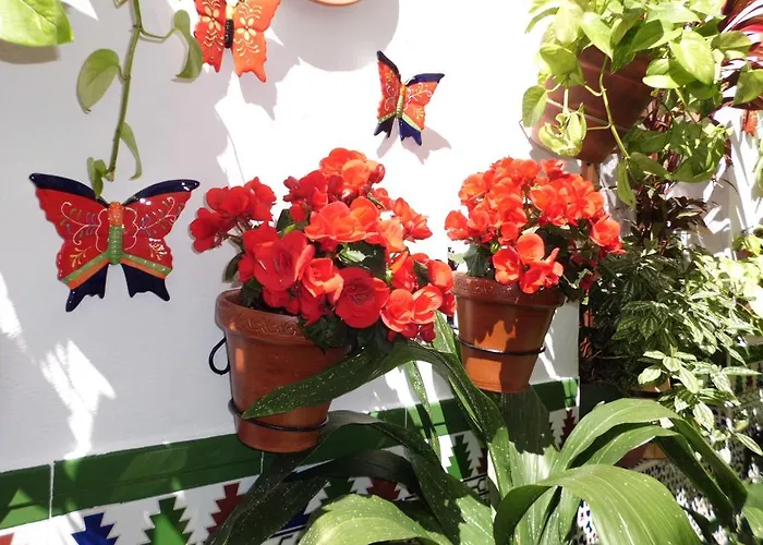 Agustina Гостевой дом *