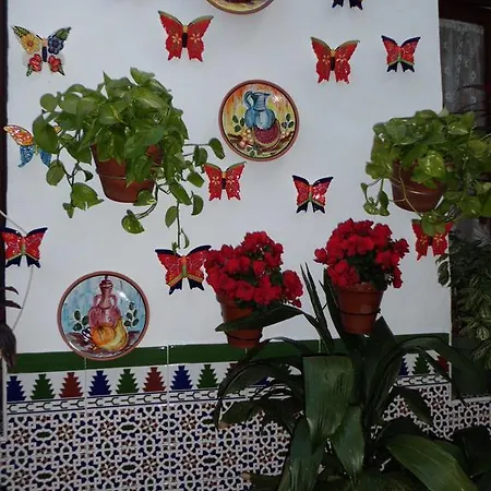 Agustina قرطبة