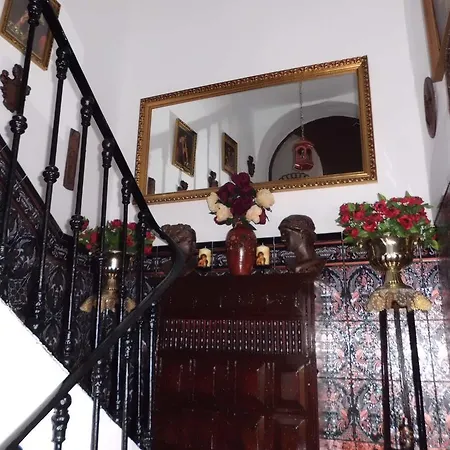 Agustina قرطبة