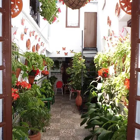 Agustina قرطبة