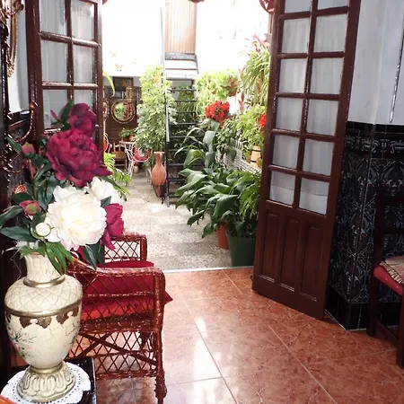 Agustina قرطبة